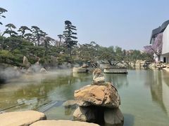 -罗红摄影艺术馆