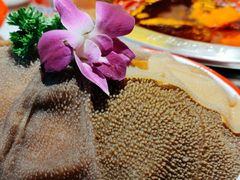 -大龙燚火锅(天钥桥路店)