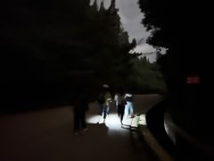 -长虫山生态公园风景林