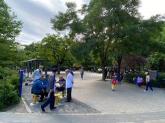 -玲珑塔公园