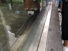 -石家庄市动物园