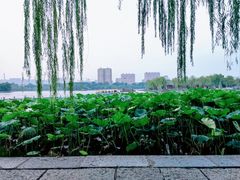 -济南大明湖景区