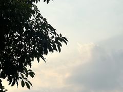 -海珠湖公园