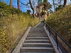 -青岛市江苏路基督教堂