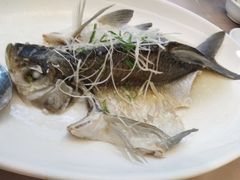 油盐蒸神仙鳊鱼-四海酒家生态粤菜