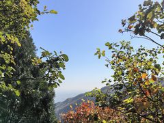 -香山公园