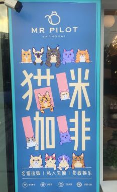 门面-飞行喵MR PILOT|猫舍·猫咖(静安大融城店)