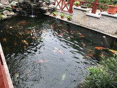 -顺德了能馆(虎门店)