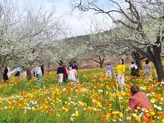 -名花谷生态庄园