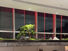 -同庆楼(天鹅酒家店)