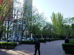 -青城公园