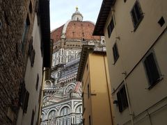 -圣母百花大教堂穹顶