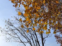 -石家庄市植物园