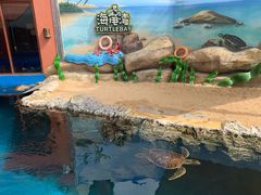 -南海渔家•海鲜•正宗海南菜(海棠湾店)