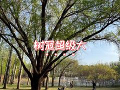 -仁和公园(顺义区)