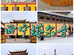 -塔尔寺