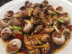 酱爆海螺-金海湾海鲜排档(朱家尖店)