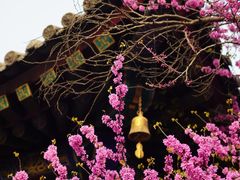 -西安市广仁寺