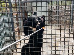 -水上乐园·欢乐世界