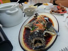 清蒸石斑鱼-琼大师东方烤乳猪(亚特兰蒂斯店)