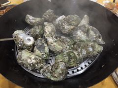 桑拿蚝-蚝专家(北滘店)