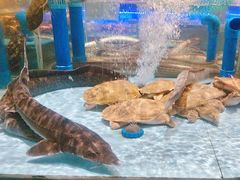 -阿伟海鲜楼·福建菜(延寿店)