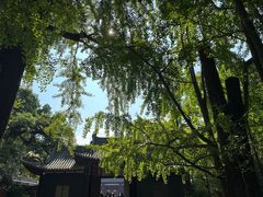 -三苏祠