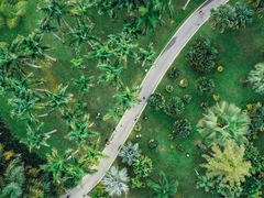 -中国科学院西双版纳热带植物园
