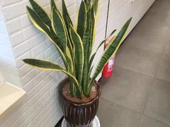 -过桥缘·过桥米线(西冶街店)