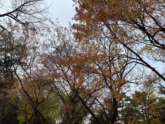 -渝信川菜 · 川味家常菜(长安店)