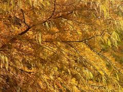 -南京市无想山景区