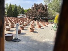 -莲花池公园