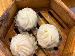-美食小镇·观赏珍稀鸟类·长隆熊猫酒店