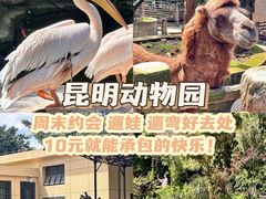 -昆明动物园