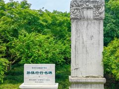 -红梅公园