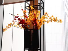 -花城苑广府菜(侨鑫店)