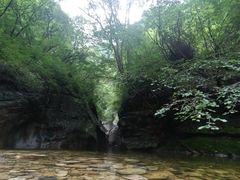 -少华山国家森林公园