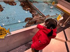 -香融府·烤鸭·家常菜(马家堡路店)