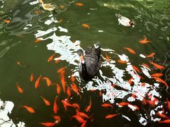 -南宫五洲植物乐园