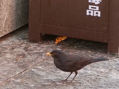 -汴河街