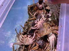 -领鲜活海鲜榴莲自助火锅(东门店)