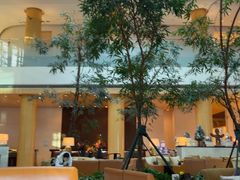 -丽思卡尔顿酒店泳池(金融街店)