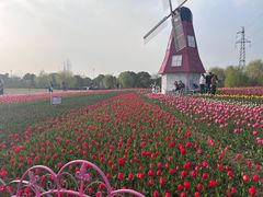 -菊园百果园