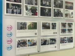 -北京观赏动物医院·24小时大型综合·猫专科·异宠专科