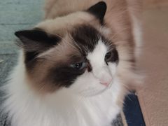 -零纪元VR体验馆·桌游(黄浦店)