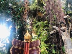 -西双版纳总佛寺
