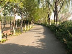 -大兴滨河森林公园