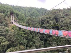 -九龙江国家森林公园