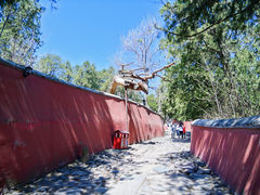 -潭柘寺景区