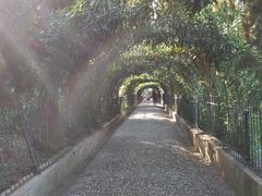 -阿尔罕布拉宫